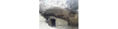கங்கோத்ரி